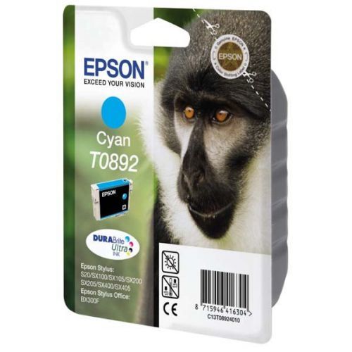 Epson T0892 (C13T08924011) - originální