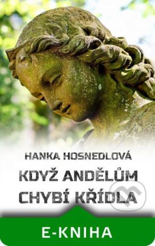Když andělům chybí křídla - Hanka Hosnedlová