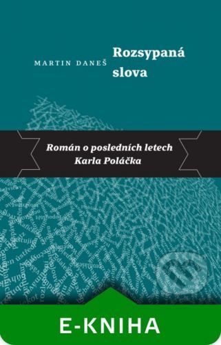 Rozsypaná slova - Martin Daneš