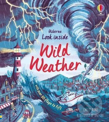 Wild Weather - Emily Bone, Bao Luu (ilustrácie)