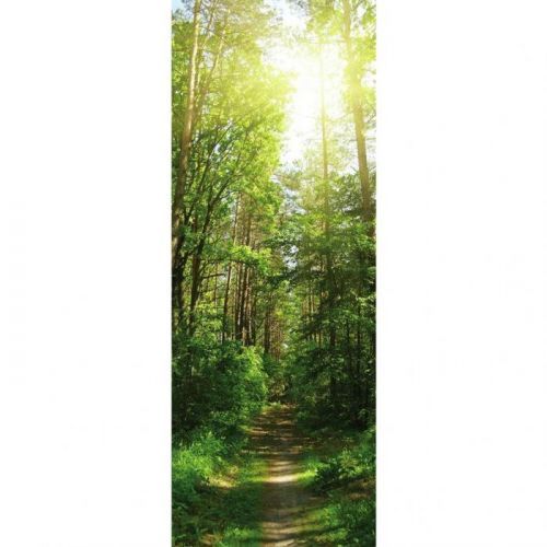 Obraz Skleněný Krajina & Příroda 30/80/140 Cm