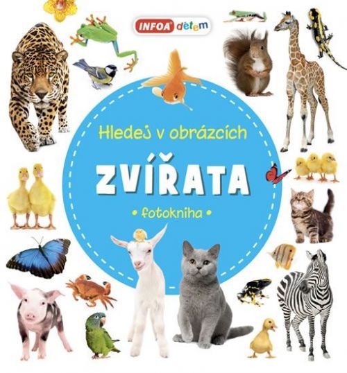 Zvířata - Hledej V Obrázcích