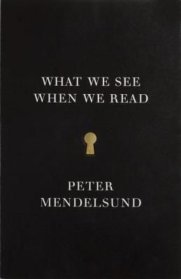 What We See When We Read (Mendelsund Peter)(Paperback)