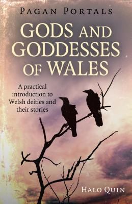 Pagan Portals - Gods and Goddesses of Wales - A practical introduction to Welsh deities and their stories (Quin Halo)(Paperback / softback)