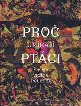 Proč umírají ptáci - Pouchet Victor