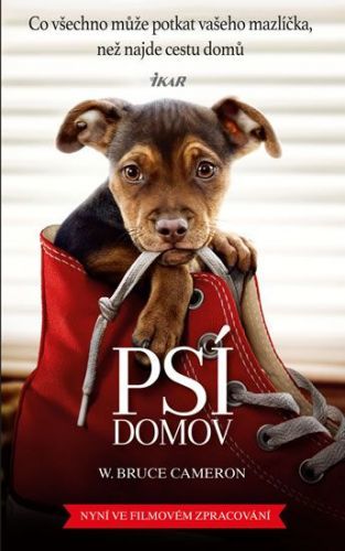 Psí domov - Cameron Bruce W.