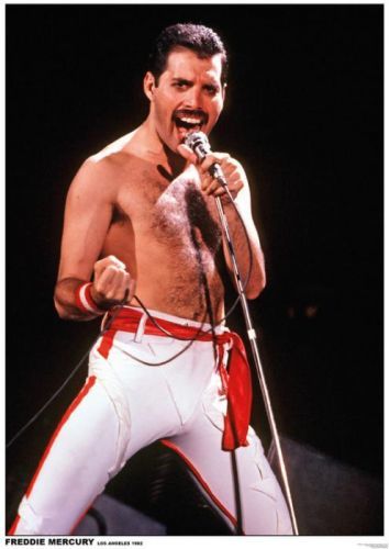 ARTIFICIAL POSTERS Plakát, Obraz - Queen (Freddie Mercury) - Los Angeles 1982, (59.4 x 84 cm)