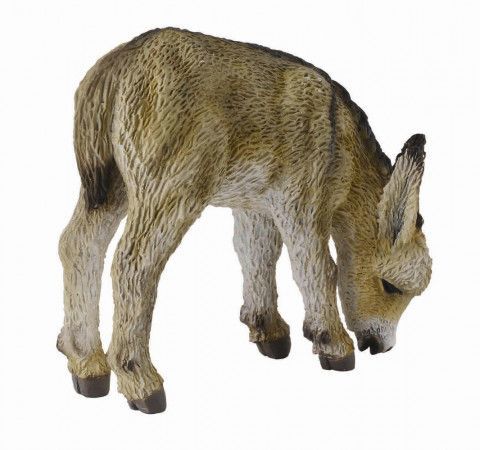 Collecta Osel hříbě pasoucí se