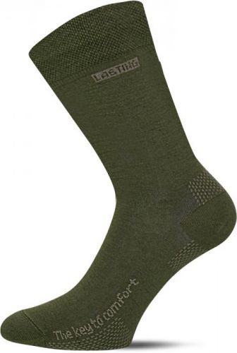 Lasting OLI 620 zelená Coolmax ponožky Velikost: (42-45) L