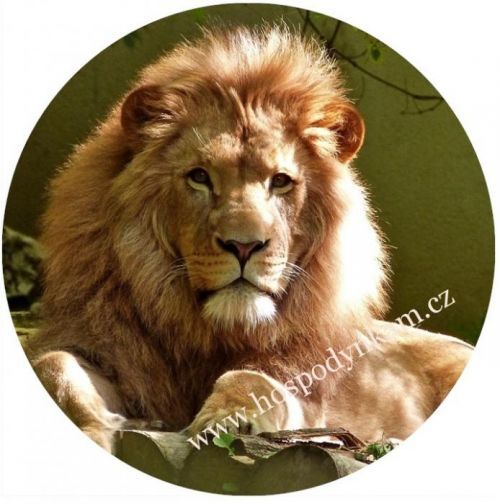 Jedlý papír lev