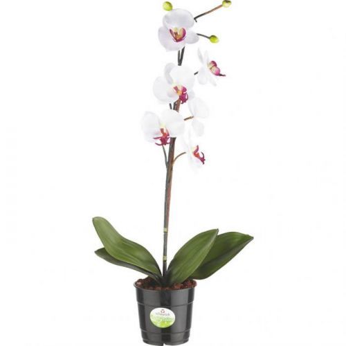 Umělá Rostlina Orchidej