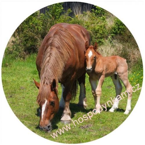 Jedlý papír kůň a hříbě