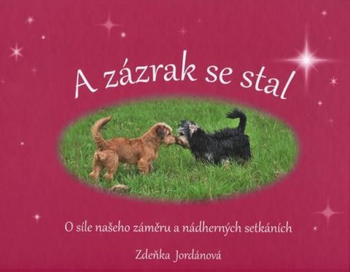 Jordánová Zdeňka: A Zázrak Se Stal