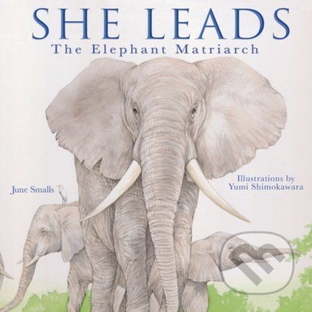 She Leads - June Smalls, Yumi Shimokawara (ilustrácie)