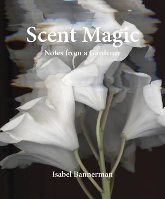 Scent Magic - Notes from a Gardener (Bannerman Isabel)(Pevná vazba)
