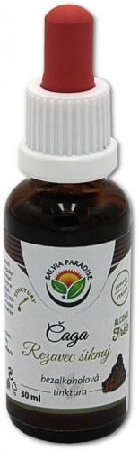 Salvia Paradise Chaga AF tinktura - podpora imunity Objem: 30 ml