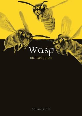 Wasp (Jones Richard)(Paperback)