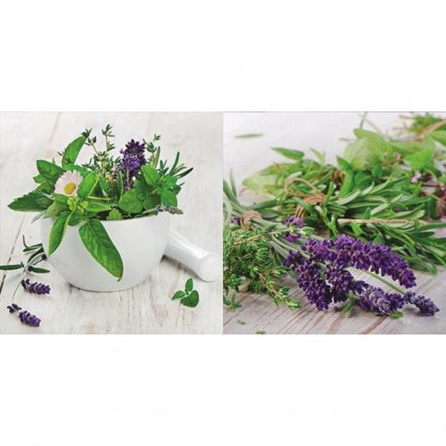 Obraz Skleněný Koření 20/40/140 Cm