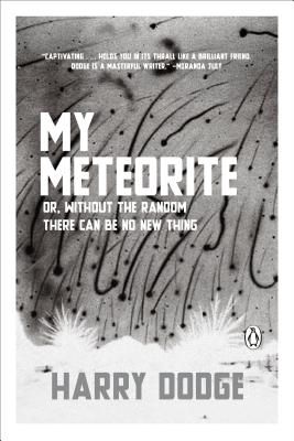 My Meteorite - Or, Without the Random There Can Be No New Thing (Dodge Harry)(Paperback)