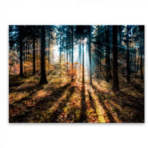 Obraz Styler Glasspik Autumn Sunset, 70 x 100 cm