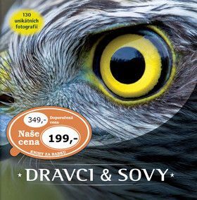 Dravci a sovy