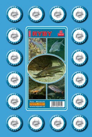 Rodinná hra Pexeso: Sladkovodní ryby