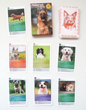 Dětské karty Kvarteto - Plemena psů