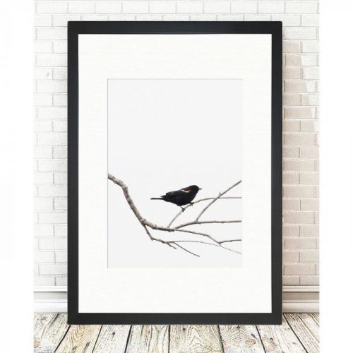 Obraz Tablo Center Birdy, 24 x 29 cm