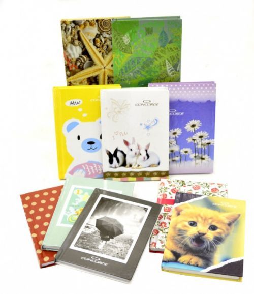 Těšínské papírny Záznamní kniha A6 96 listů linka