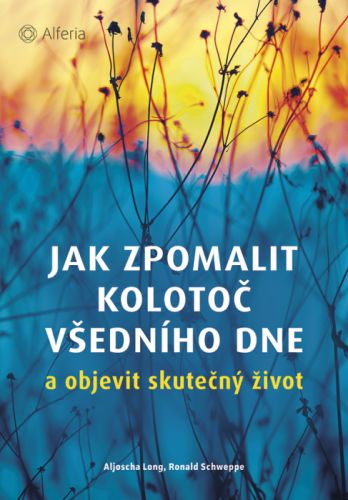 Jak zpomalit kolotoč všedního dne - Ronald Schweppe, Aljoscha Long - e-kniha