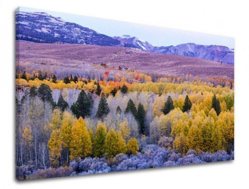 Obraz na stěnu KRAJINA KR016E11