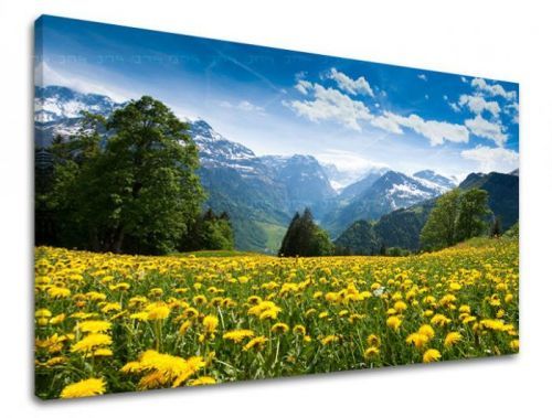 Obraz na stěnu KRAJINA KR036E11