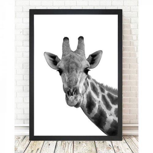 Obraz Tablo Center Giraffe Portrait, 24 x 29 cm