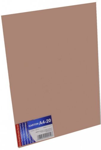 Zet servis Karton A4 170 g/ 20 ks - hnědý - 25