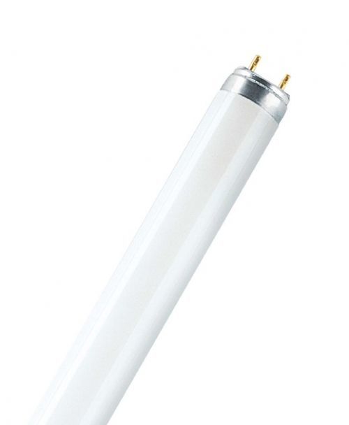 OSRAM lumilux L 36W/965 G13