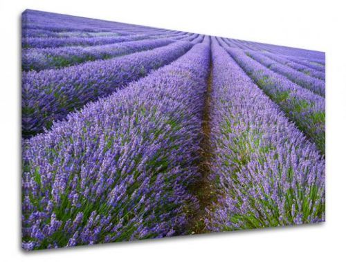 Obraz na stěnu KRAJINA KR039E11