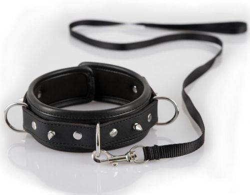 Bad Kitty - spiked collar with dog collar (black)