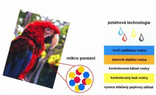 Ostatní Fotopapír Europen A4 200 g - 20 ks - vysoce lesklý