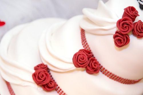 Zeelandia Modelovací hmota Zeelandia 2,5 kg