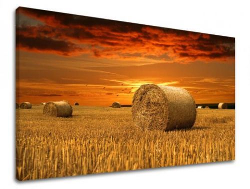 Obraz na stěnu KRAJINA KR034E11