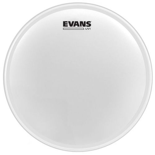 Evans B10UV1 UV1 Coated 10”