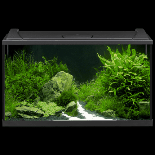 Akvárium set EHEIM Aquapro LED černý 126l, 82*50*37cm