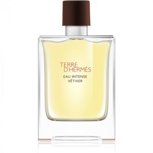 Hermes Terre D' Hermès Eau Intense Vétiver 50 ml parfémovaná voda pro muže