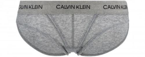 Statement 1981 Kalhotky Calvin Klein | Šedá | Dámské | XS