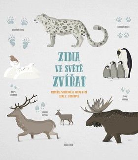 Zima ve světě zvířat - Kocí Irena, Nováková Markéta