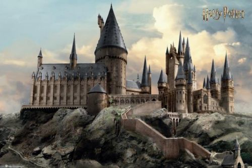 POSTERS Plakát, Obraz - Harry Potter - Den v Bradavicích, (91.5 x 61 cm)