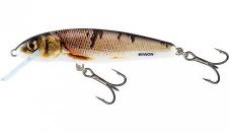 Salmo Wobler Minnow Floating Wounded Dace-7 cm 6 g Miss Sixty