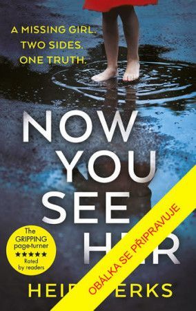 Jak jsi mohla - Perksová Heidi