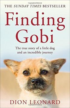 Finding Gobi