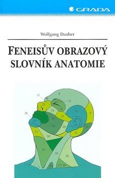 Feneisův obrazový slovník anatomie, Dauber Wolfgang